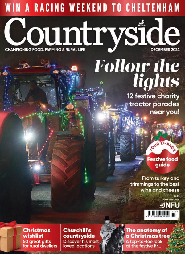 Countryside Magazine Christmas feature