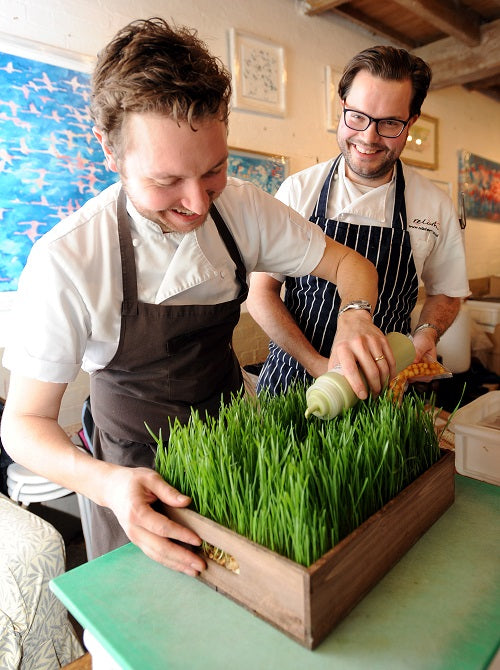 TASTE TALKS – An evening of Fine Art & Dining hosted by Charlie Beldam of Cotswold Gold and Royal Artist in Residence Jeremy Houghton