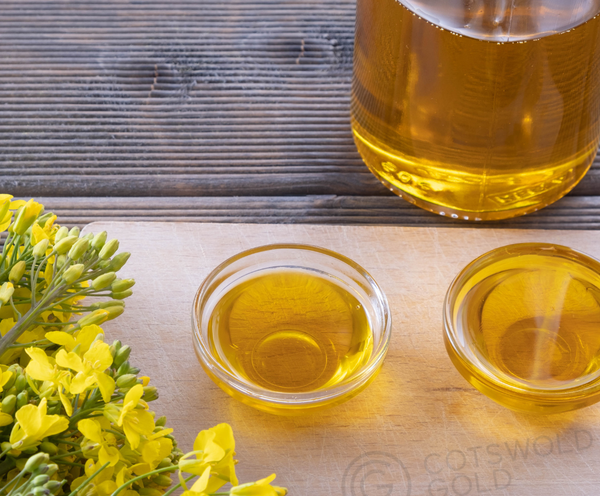 rapeseed oil tasting