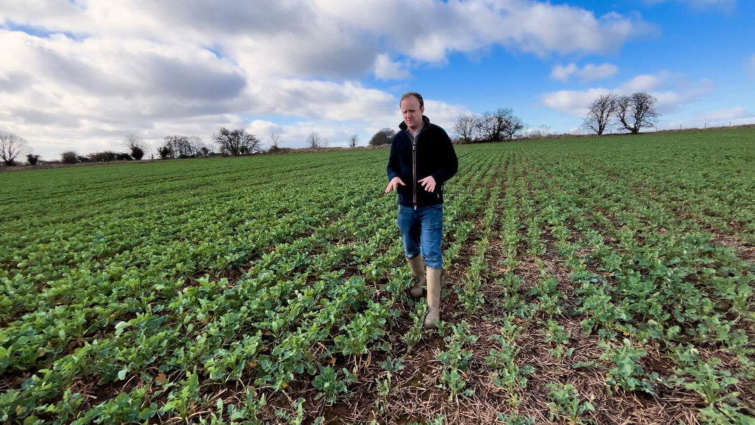 The Challenges of Farming: Adapting to Changing Weather Conditions ...
