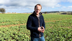 March Farm Update: Promising Rapeseed Growth in Ideal Condition 