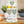Zesty Dressings Duo Gift Pack
