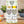 Classic Dressings Duo Gift Pack