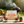 Spicy BBQ Feasting Collection