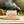 Spicy BBQ Feasting Collection