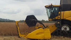 Cotswold Gold rapeseed harvest 2016