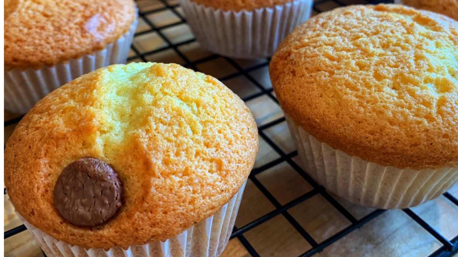 Cotswold Gold Milk Chocolate Chip Muffins